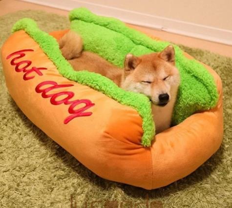 Cama para cachorro sanduíche Hotdog - S